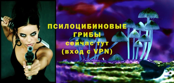 герыч Балахна