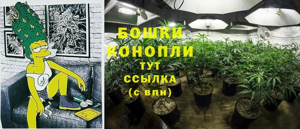 стафф Баксан