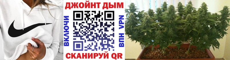 Марихуана OG Kush  Щёкино 